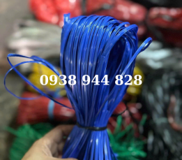 Dây nilon kẽm khô, bó màu xanh dương